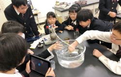 児童の探求心を育てるために利晶小が工夫していること