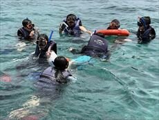 IMG_2730_R.JPG