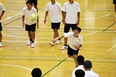 IMG_8704_R.JPG