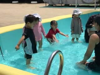 IMG_3129.jpeg