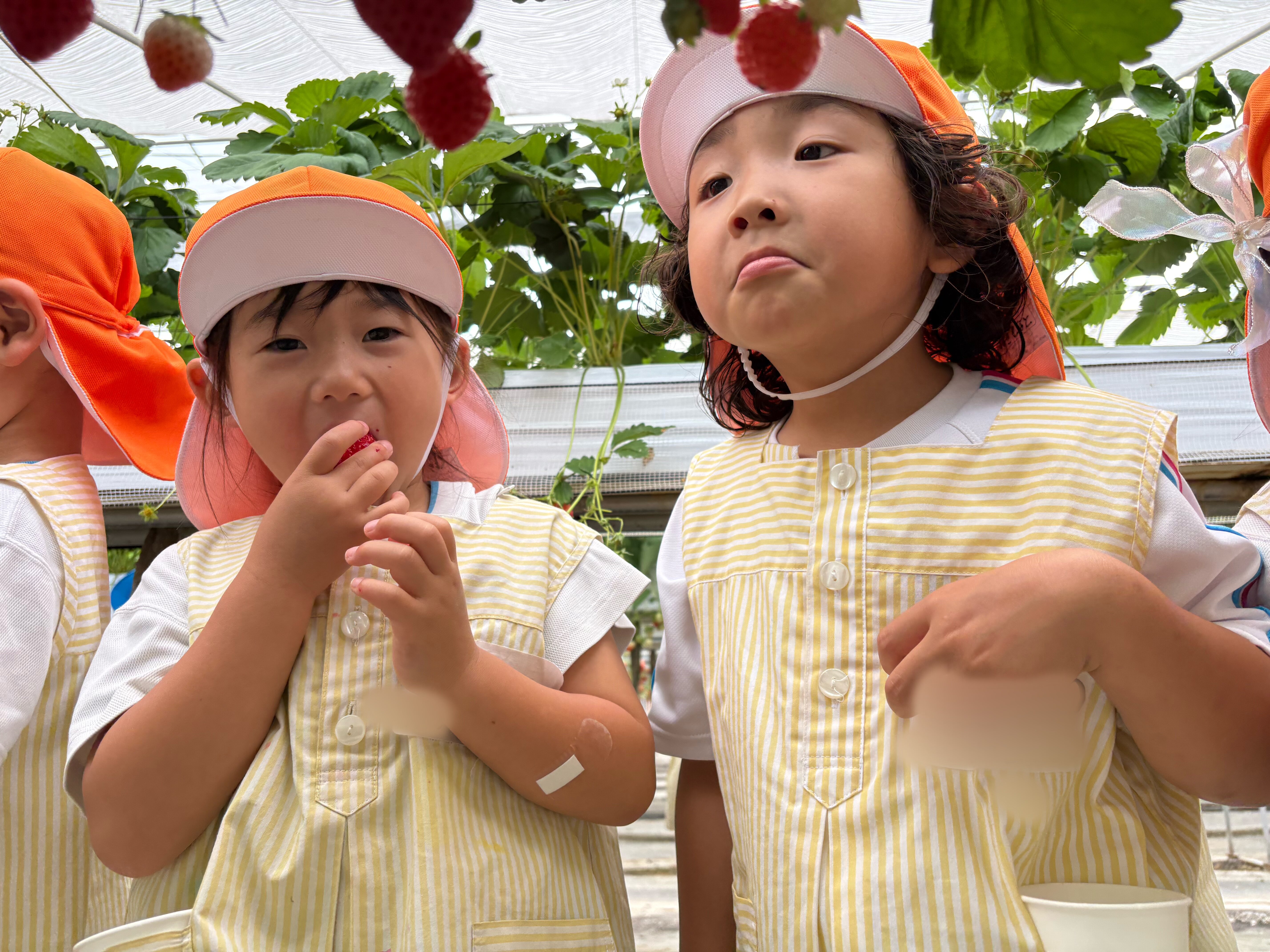 AC1B94D7-536B-41B9-981D-DB9F50721D65.jpeg