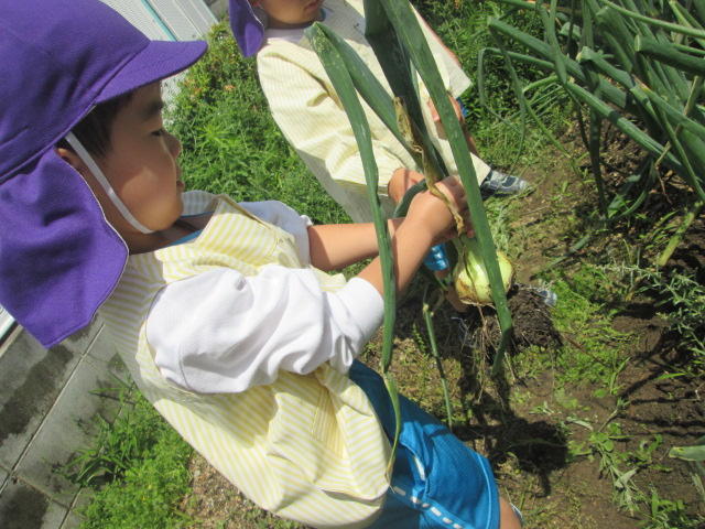 IMG_0172.JPG
