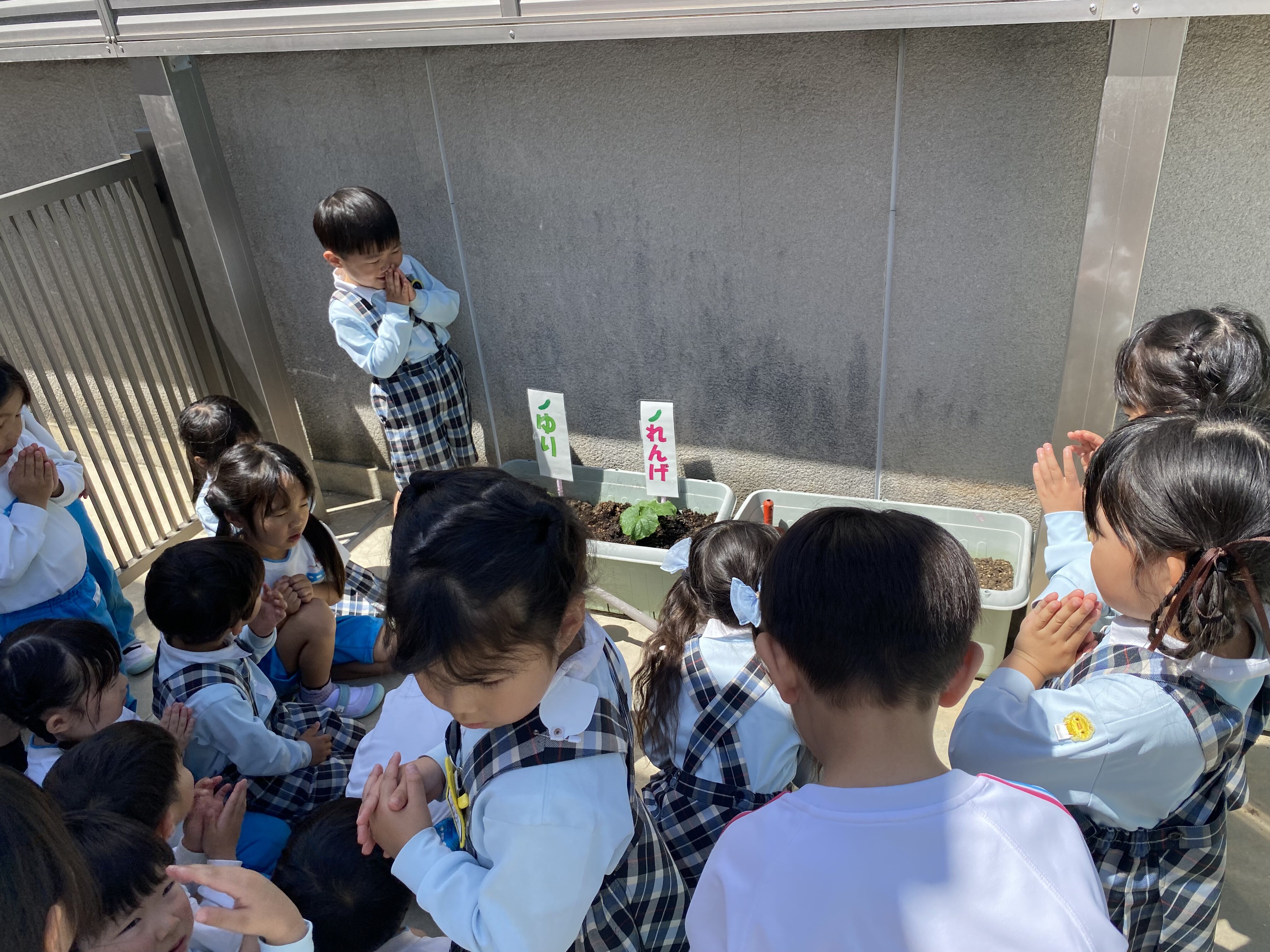 IMG_4932.jpeg