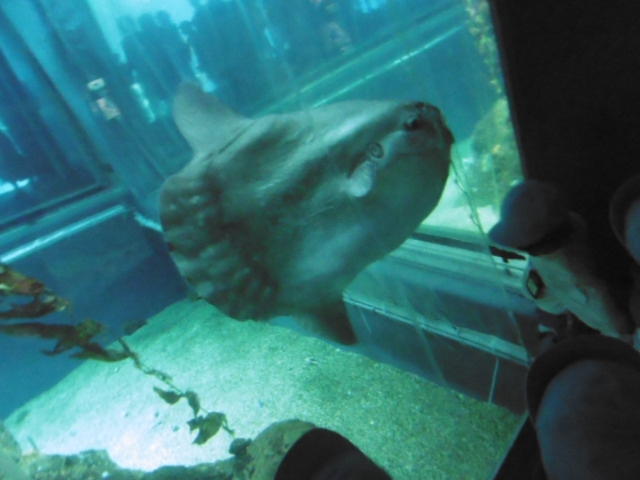 P1010005.JPG