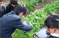 若葉園