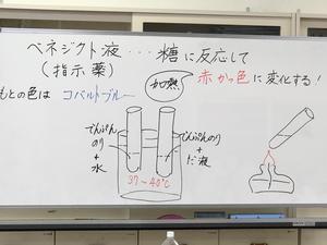 IMG_5667.JPG