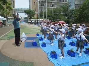 IMG_7337.jpg