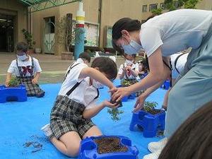 IMG_7347.jpg