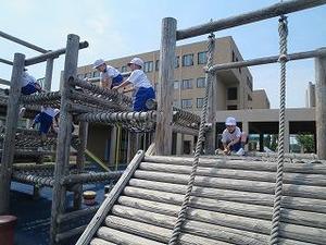 IMG_7384.jpg
