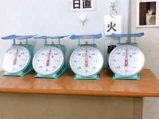 5E5B8965-A3D5-479C-9462-76A04A0A7AE0.jpeg