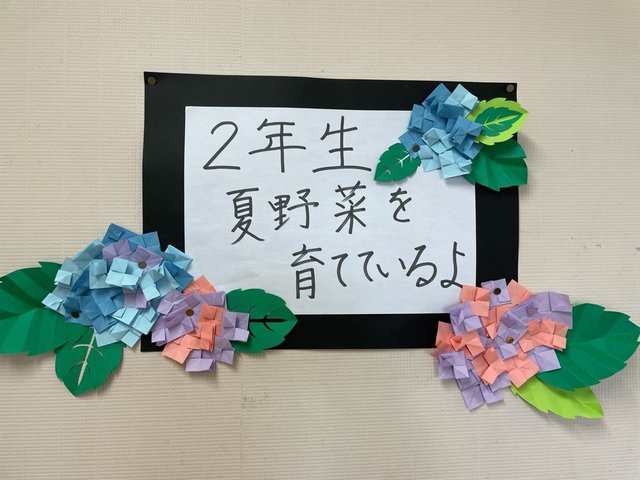 E01D935F-606B-4F64-869C-C368C7079574.jpeg