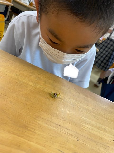 724A17CE-480F-4D9B-B594-C9FE46CA7CBD.jpeg