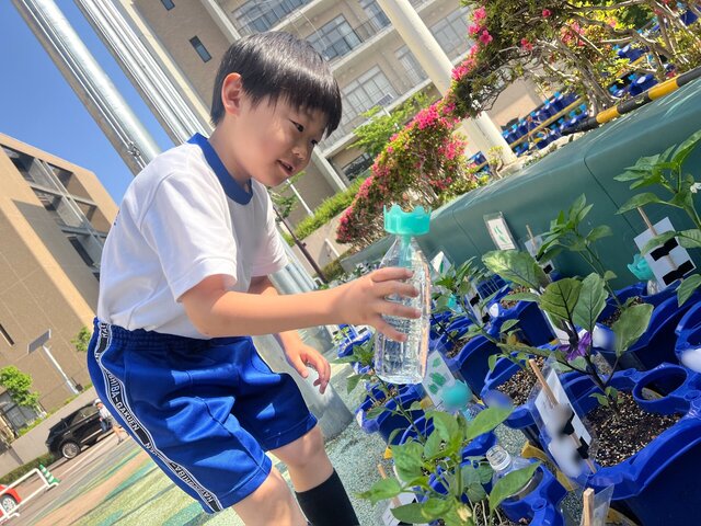 IMG_7837.jpeg