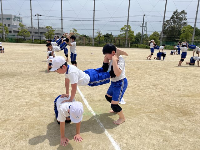 IMG_6483.jpeg