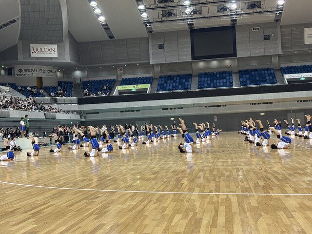 IMG_4230.jpeg