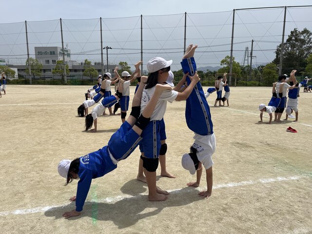 IMG_6481.jpeg