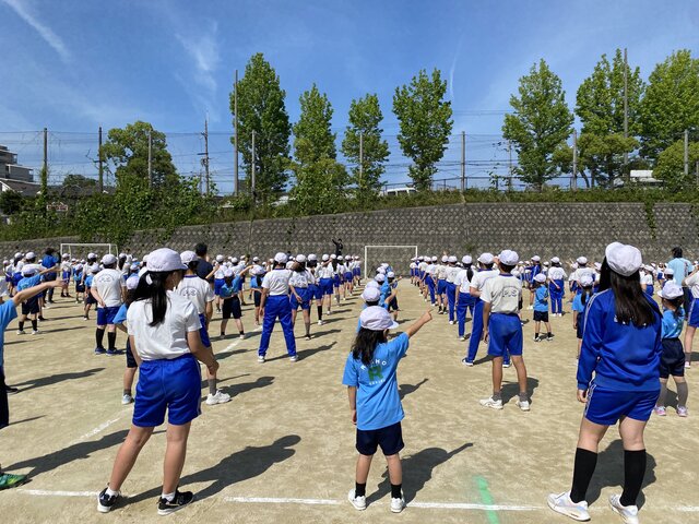 IMG_6833.jpeg