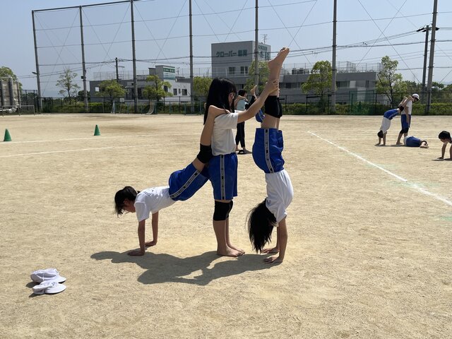 IMG_6536.jpeg