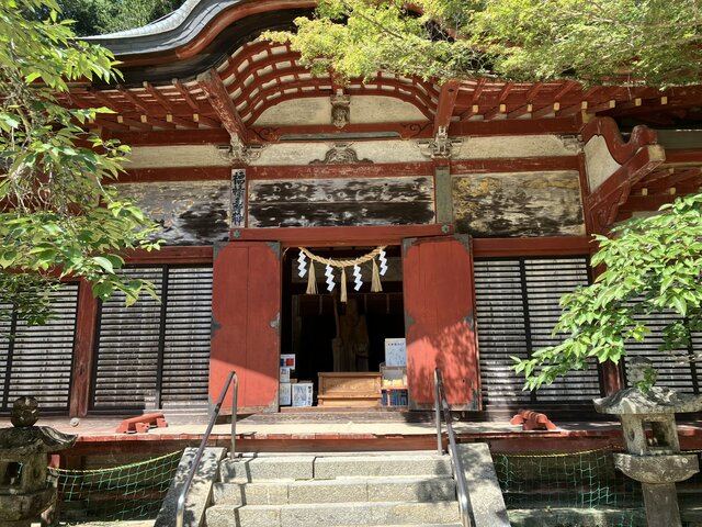 IMG_6150.jpeg