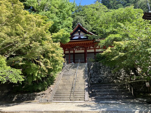 IMG_6149.jpeg