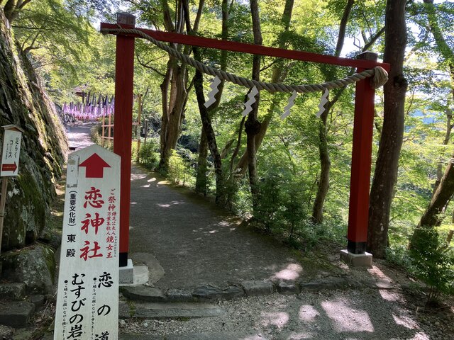 IMG_6151.jpeg