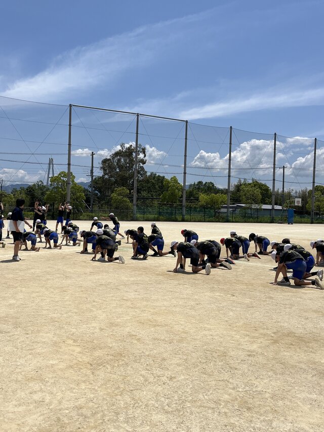 IMG_3704.jpeg