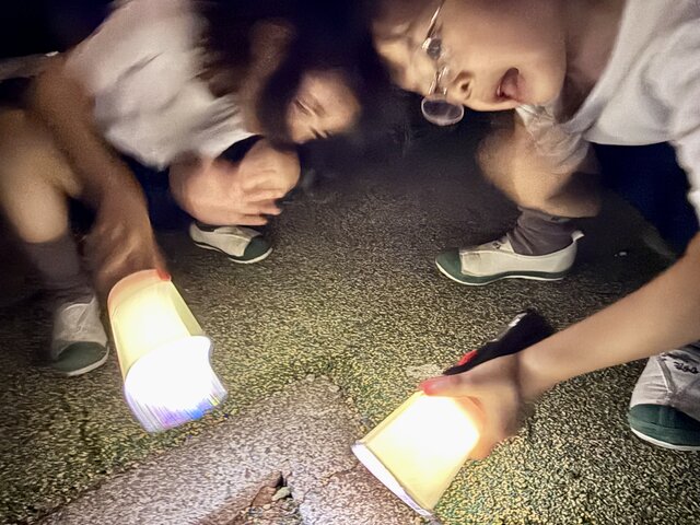 IMG_9237.jpeg
