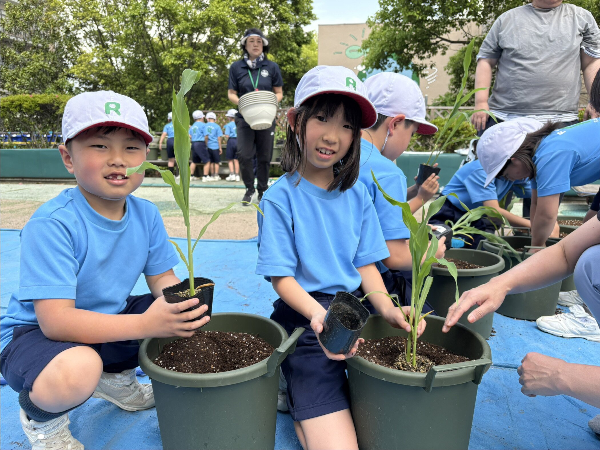 夏野菜の栽培〈2年生〉 | はつしば歳時記 | はつしば学園小学校