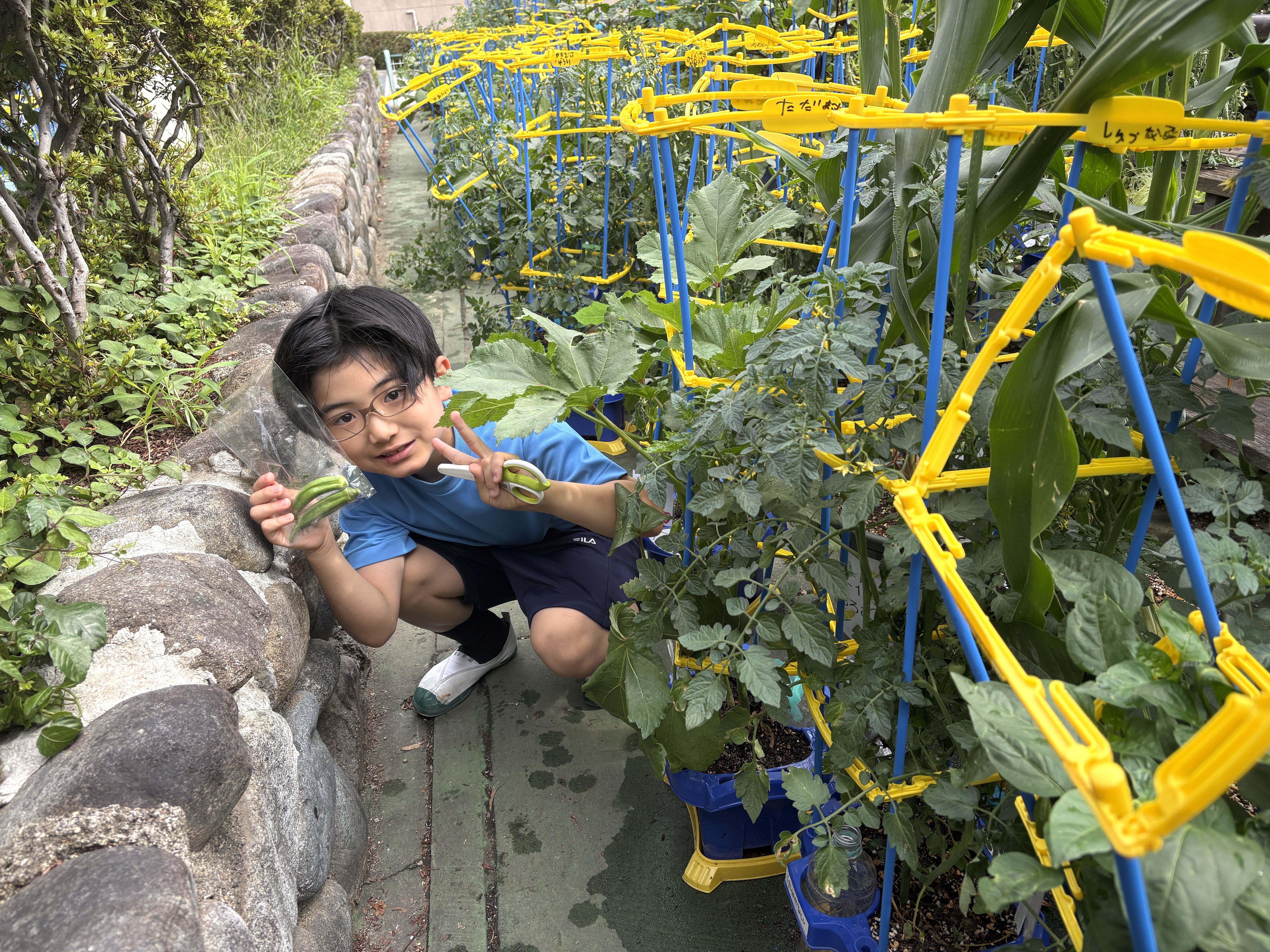 2026年度 | 利晶歳時記 | 利晶学園小学校