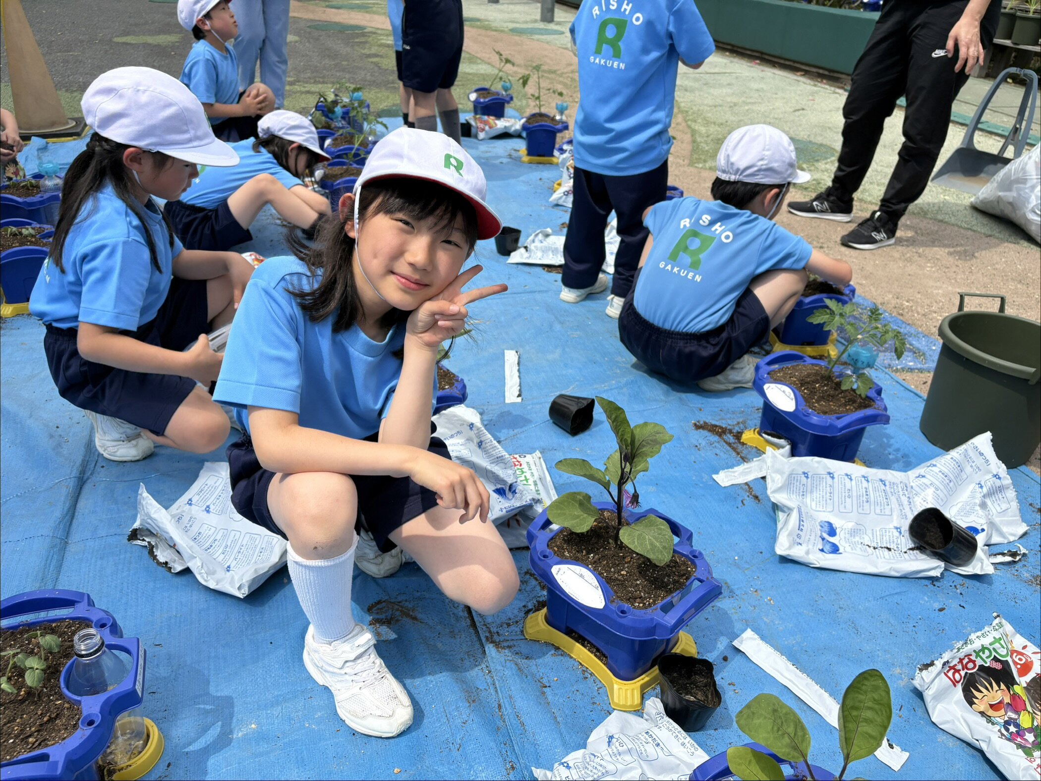 夏野菜の栽培〈2年生〉 | はつしば歳時記 | はつしば学園小学校