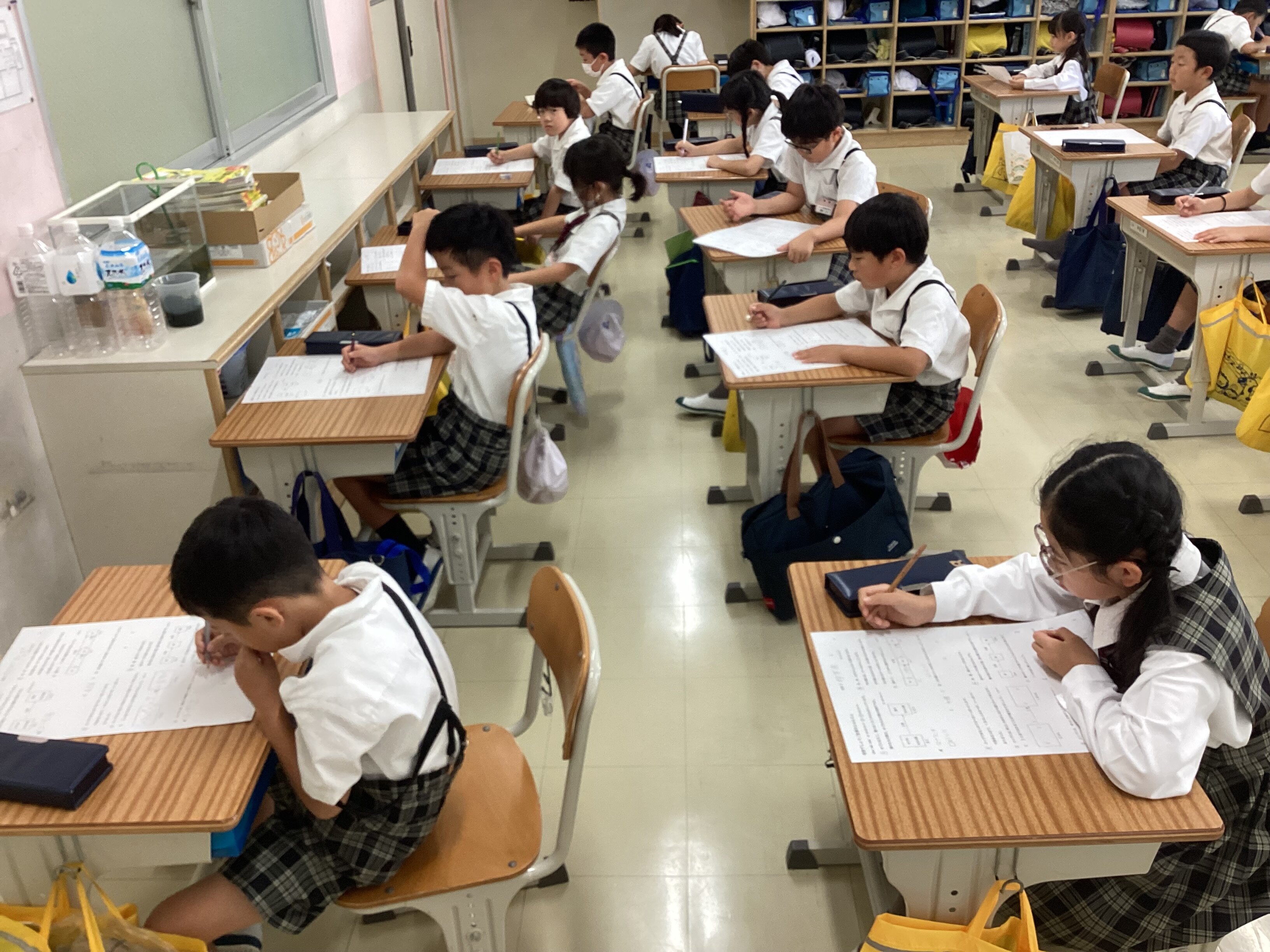 今日の3年生〈3年生〉 | はつしば歳時記 | はつしば学園小学校