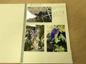 IMG_3422.jpeg
