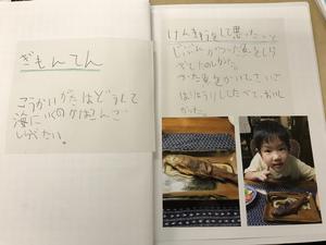 IMG_3427.jpeg