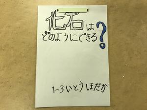 IMG_3429.jpeg