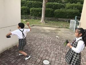 IMG_3739.jpg