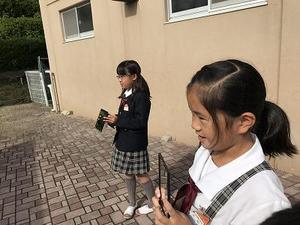IMG_3741.jpg