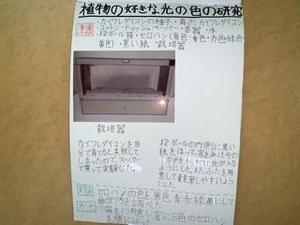 IMG_5474.JPG