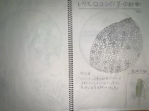 IMG_5483.JPG