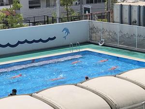IMG_1772.JPG