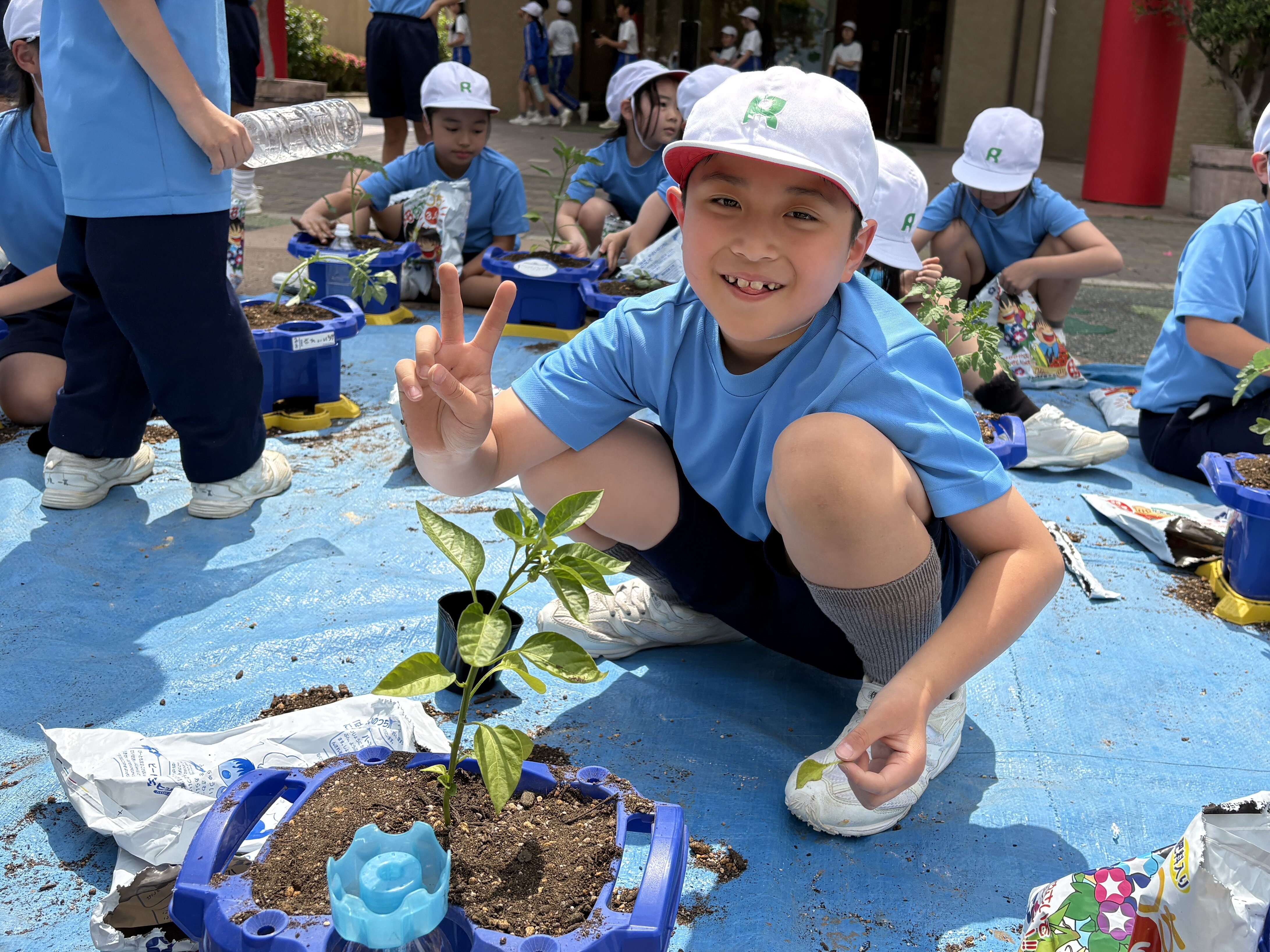 夏野菜の栽培〈2年生〉 | はつしば歳時記 | はつしば学園小学校