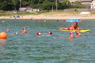 IMG_2219.jpg