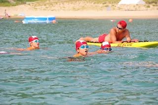 IMG_2231.jpg