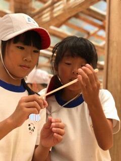 IMG_3110.jpg