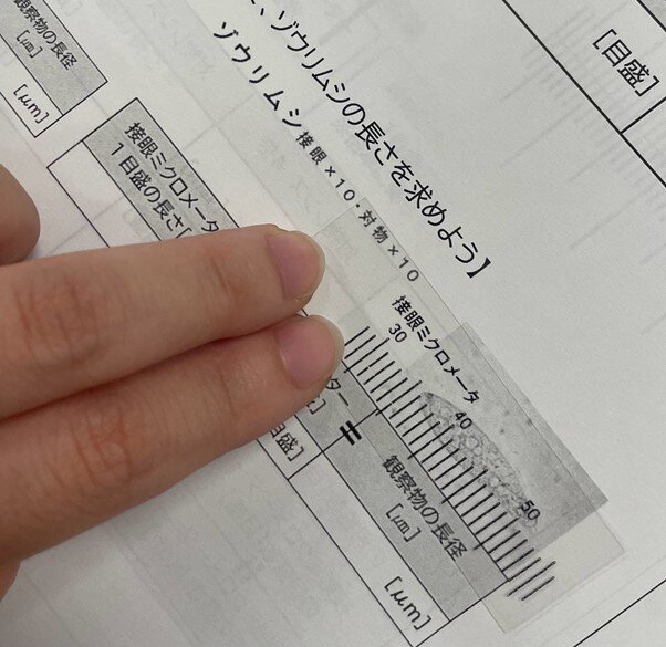 【RSSクラスSS生物基礎の授業紹介】旧式のツールを最新の学びに活用！ミクロメーターの計算特訓