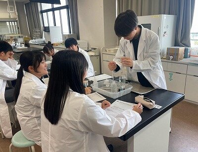 【RSSクラスSS生物基礎の授業紹介】仮説から検証までをデザインする「酵素実験」