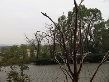 R001.jpg