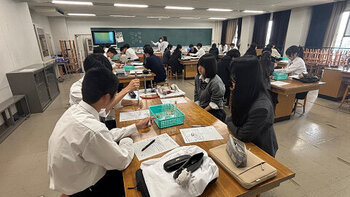 resize0206.jpg