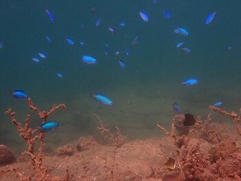 Image_20250909_140017_438.jpg