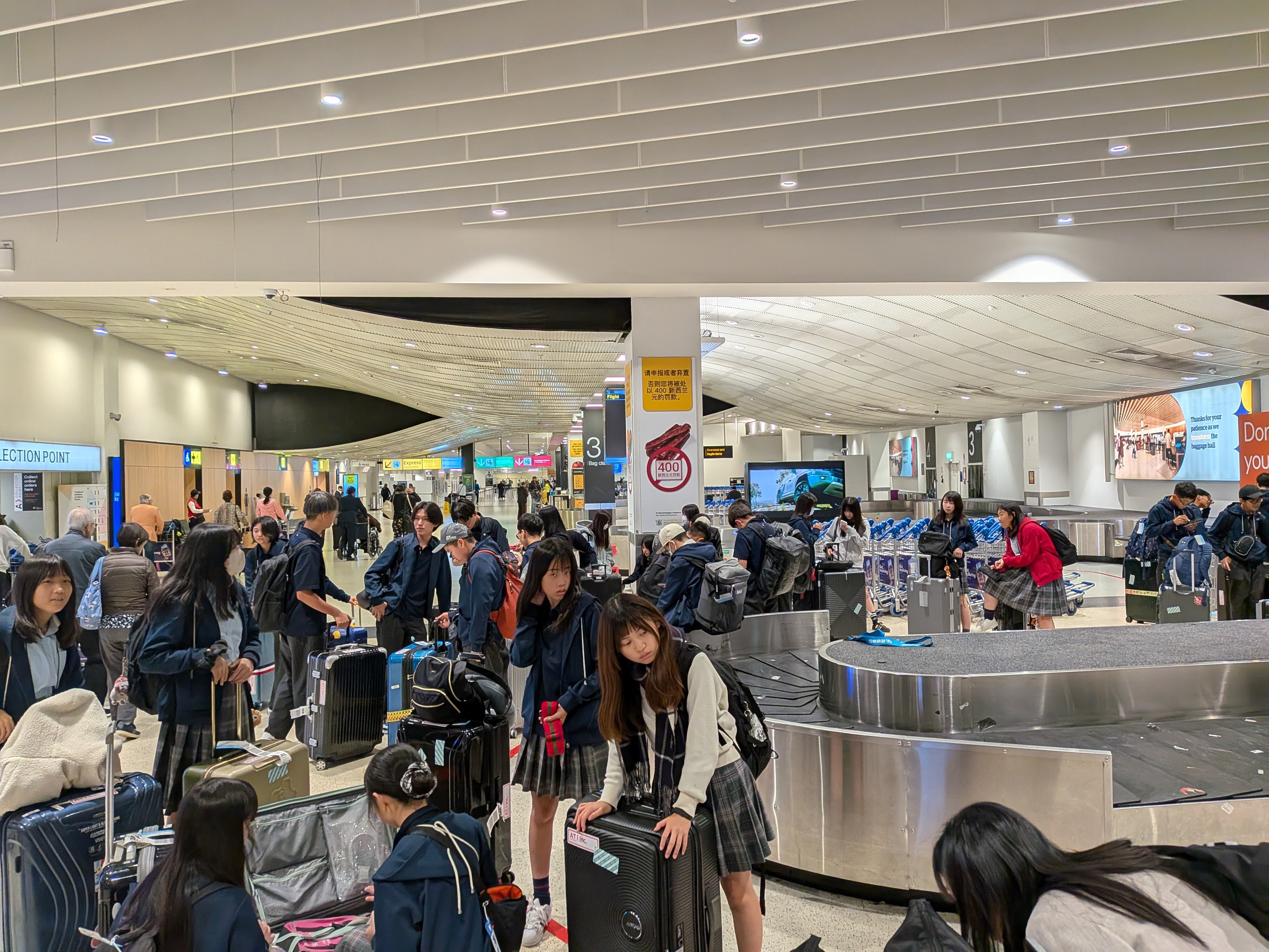 20260730_オークランド空港荷物受け取り(HP用).MP.jpg