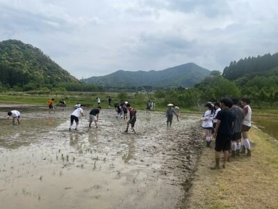 田植え.jpg